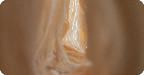 It starts with the fibre