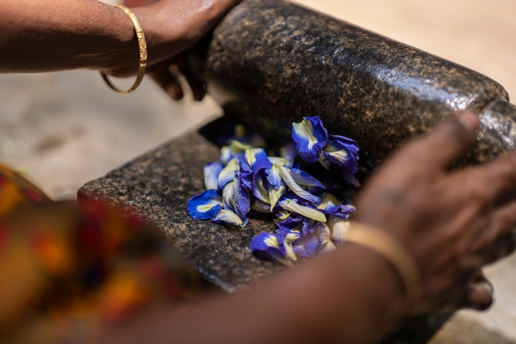 Clitoria flowers being ground by hand for botanical colour